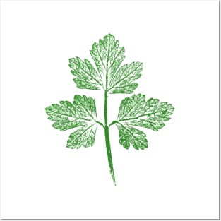 Italian Parsley Leaf Posters and Art